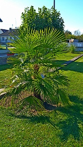 20161006_113227