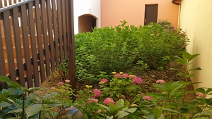 20170610_090132