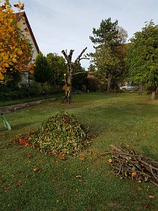 20171004_170826