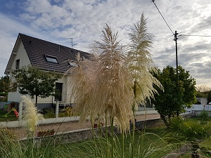 20171007_162048