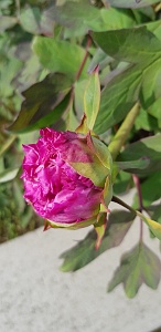 20180416_161159