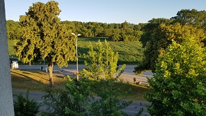 20190628_062732