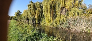 20201018_102856