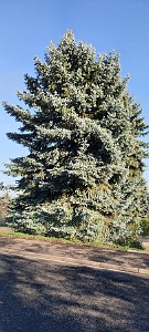 20201114_130106
