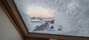 20210211_075113