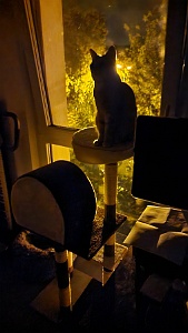 20220903_054102