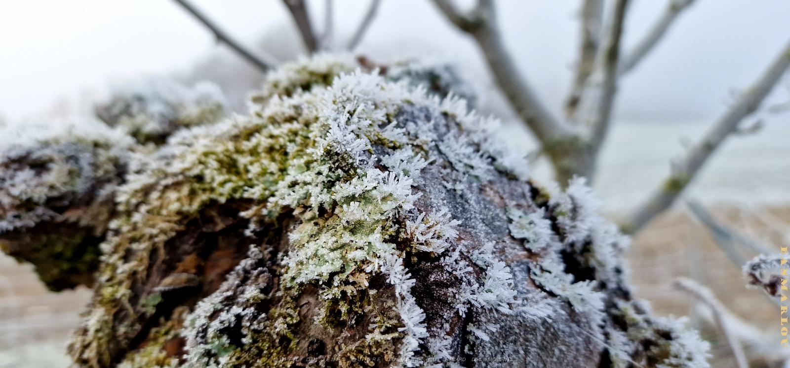 20240120_102041.jpg