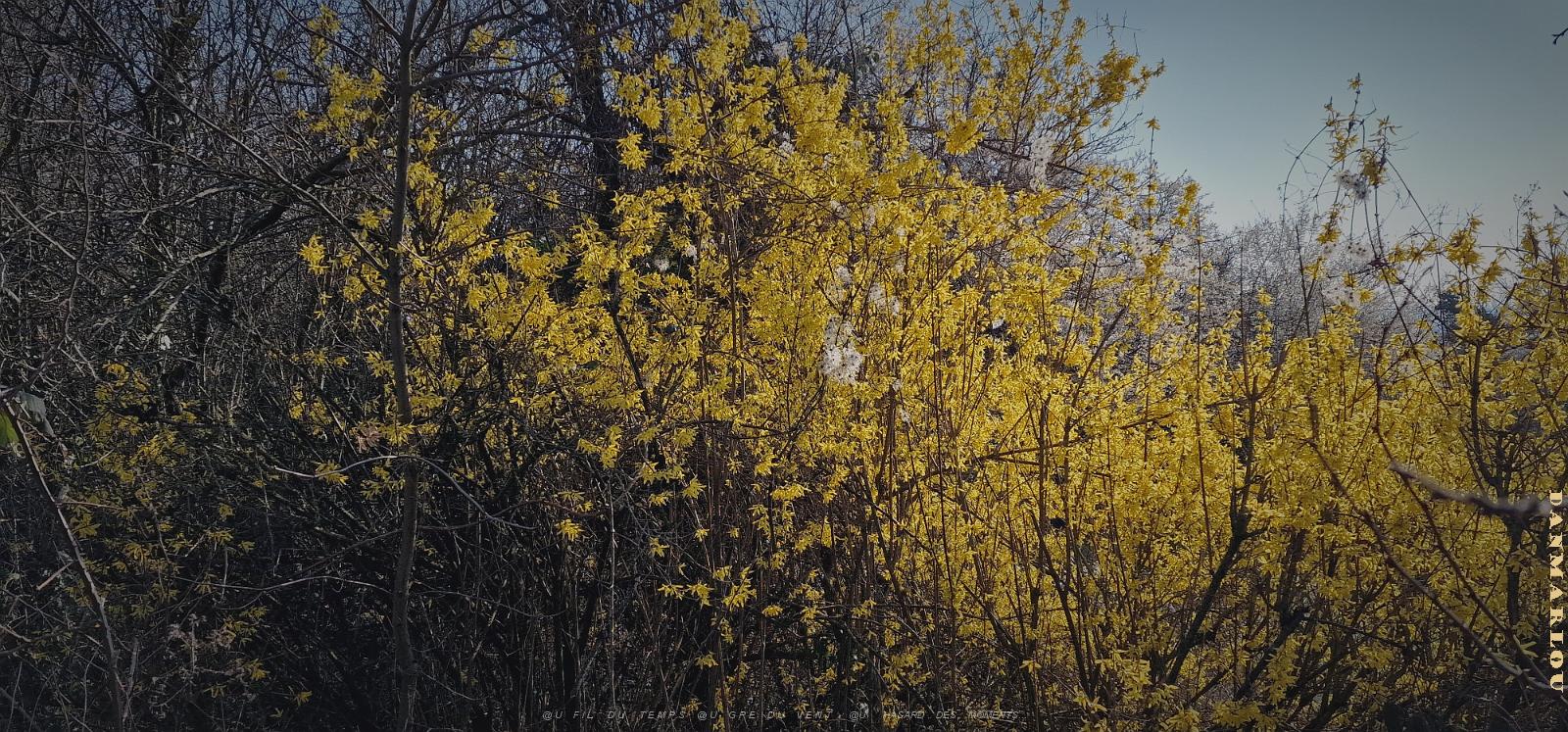 20240308_093957.jpg
