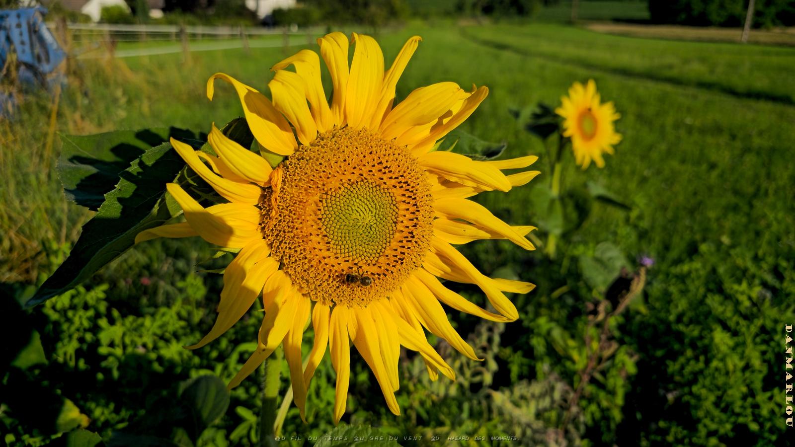 20240709_073250.jpg