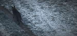 20240120_101649