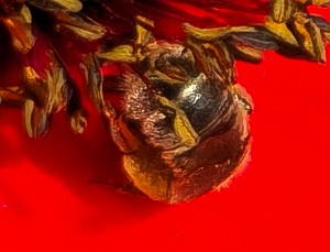 20240609_095241.r1