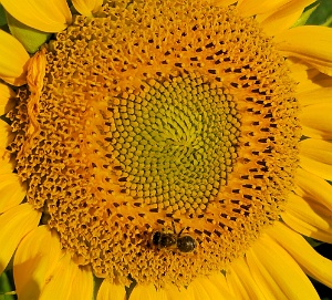 20240709_073250.b