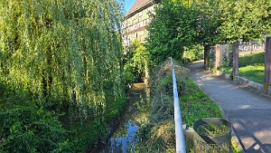 20240714_085148