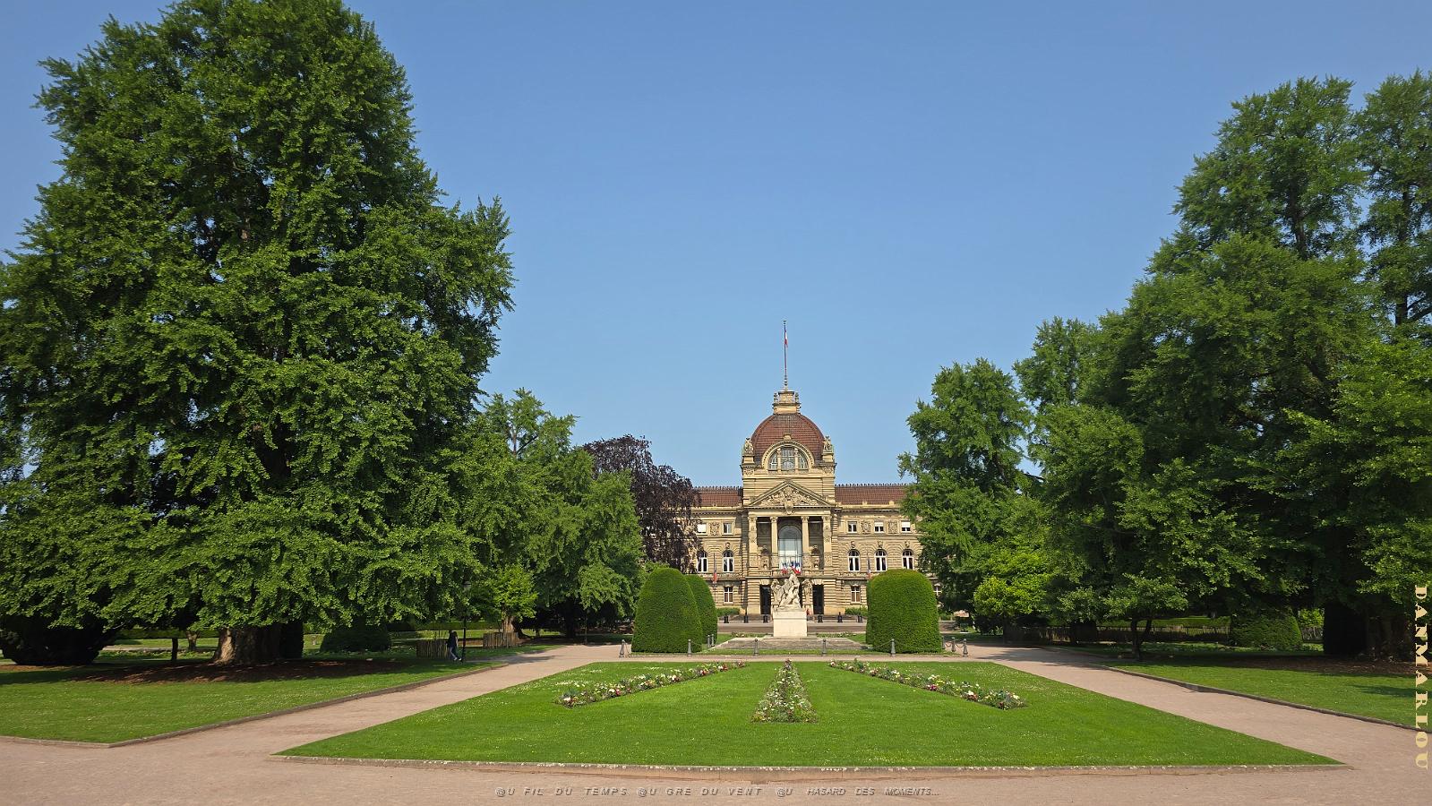 20250609_101204.jpg
