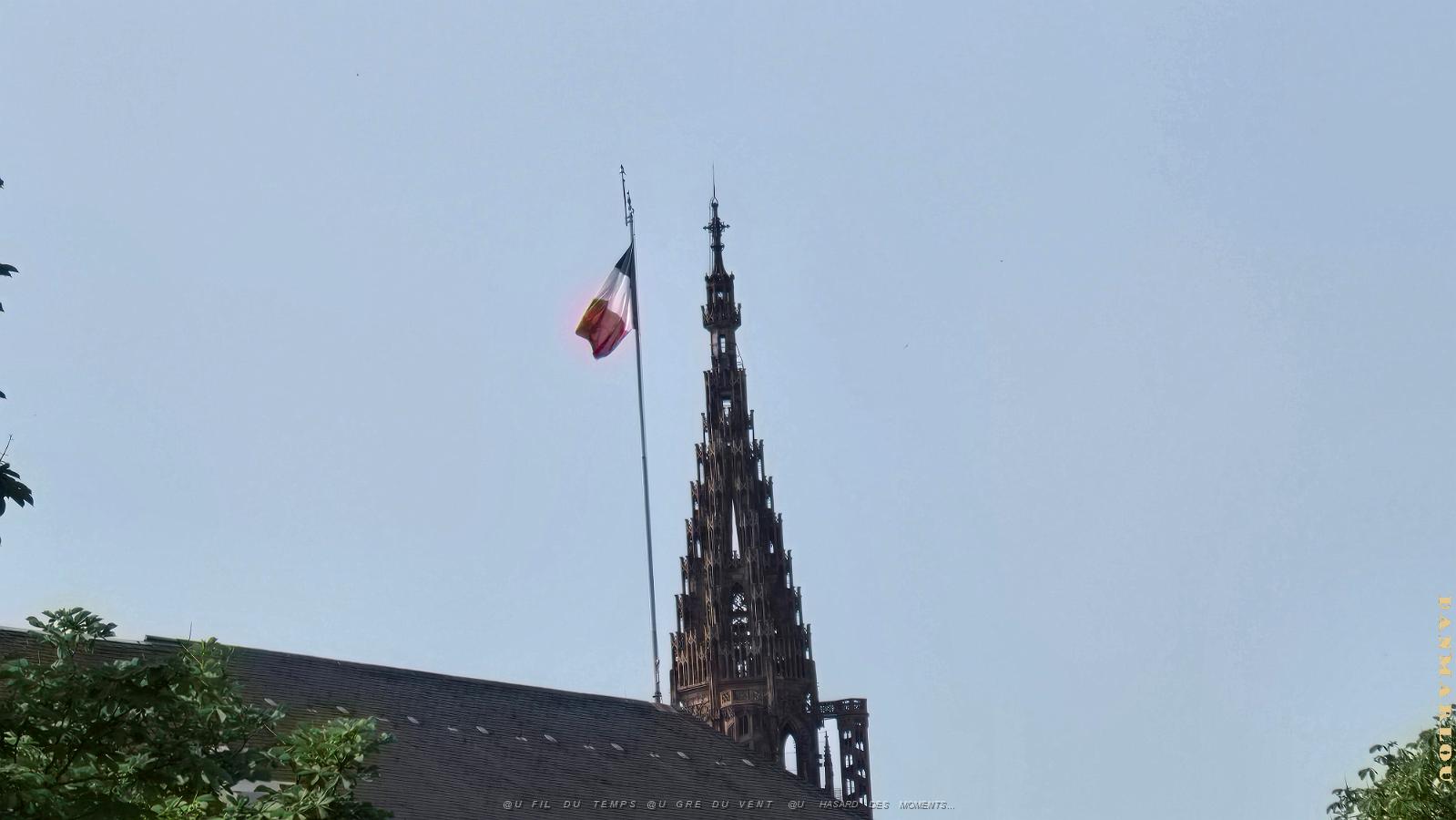 20250609_101809.jpg