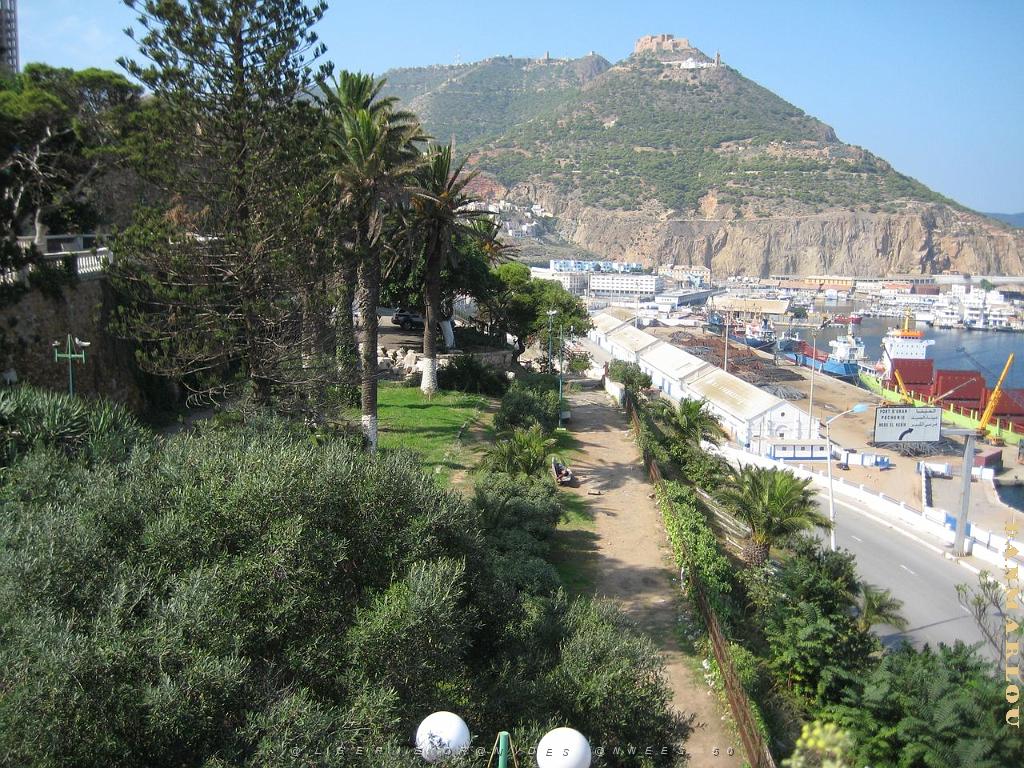 IMG_5655.JPG