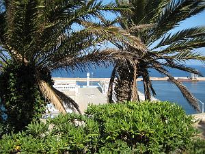 IMG_5659