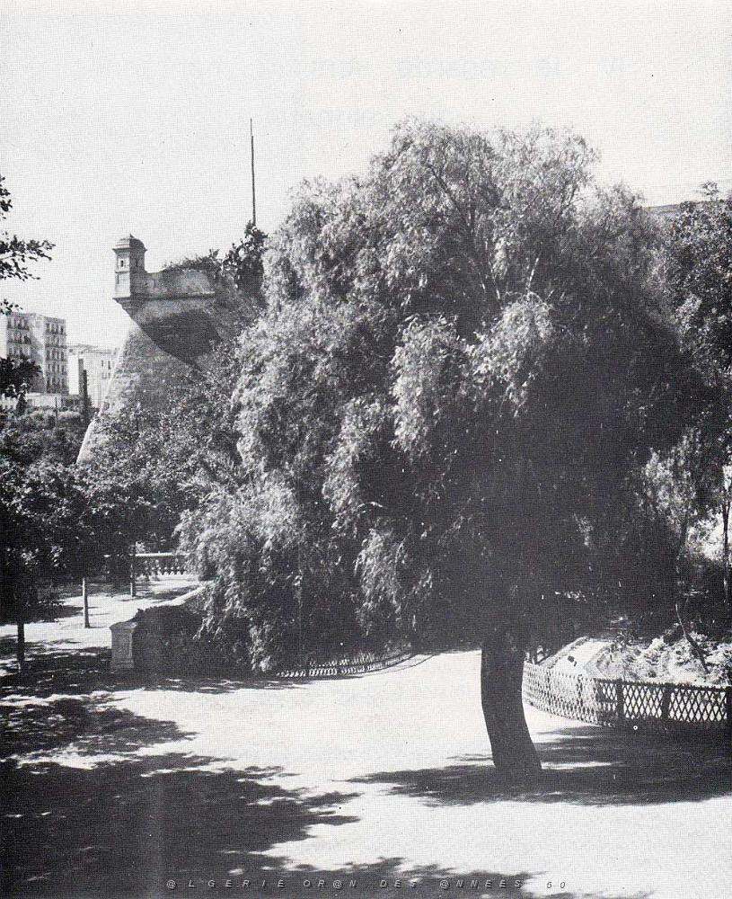 chateau-neuf.jpg