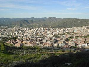 nedroma1