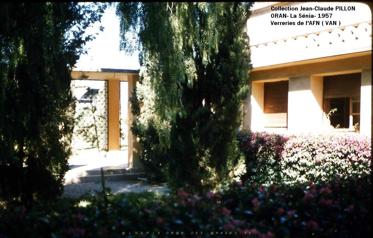 patio3.jpg