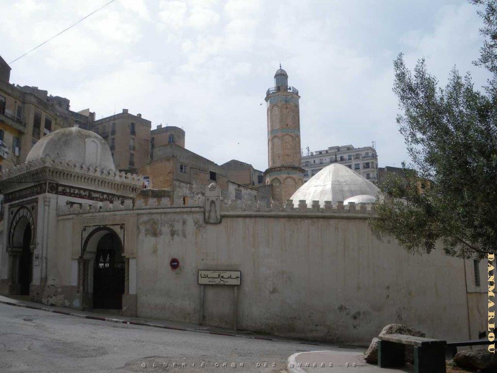IMGP0143.jpg