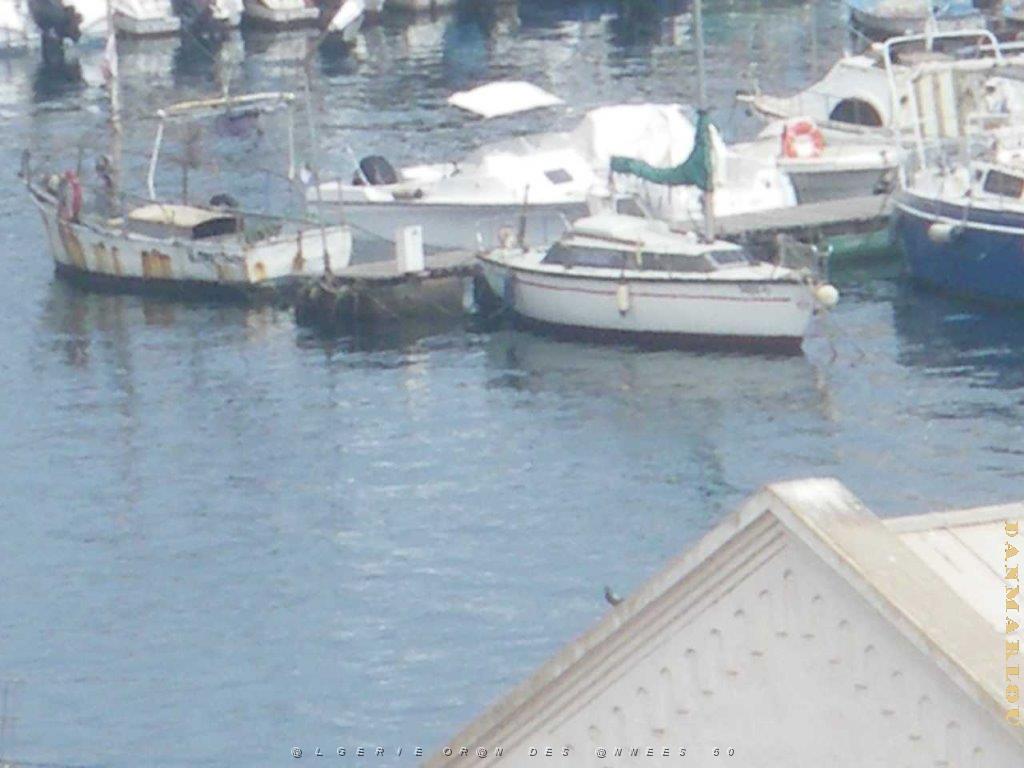 IMGP0155.jpg