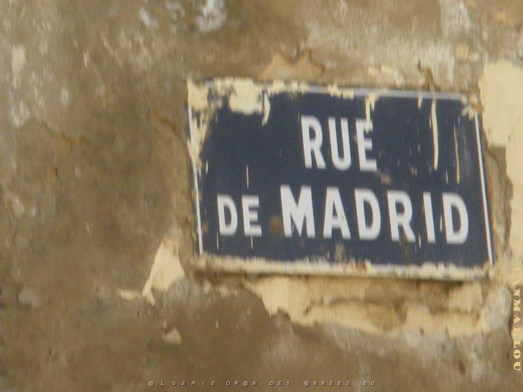 IMGP0169.jpg