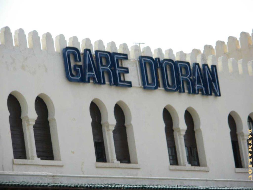 IMGP0220.jpg