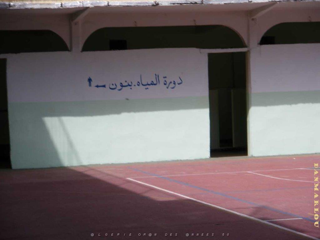 IMGP0222.jpg