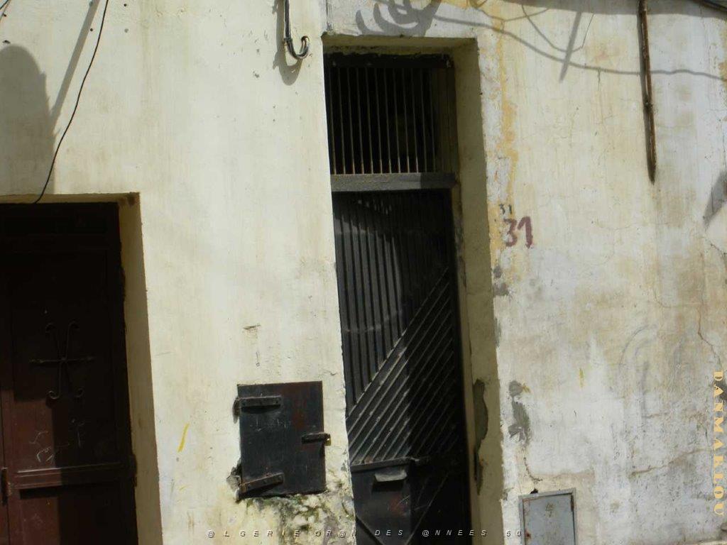 IMGP0259.jpg
