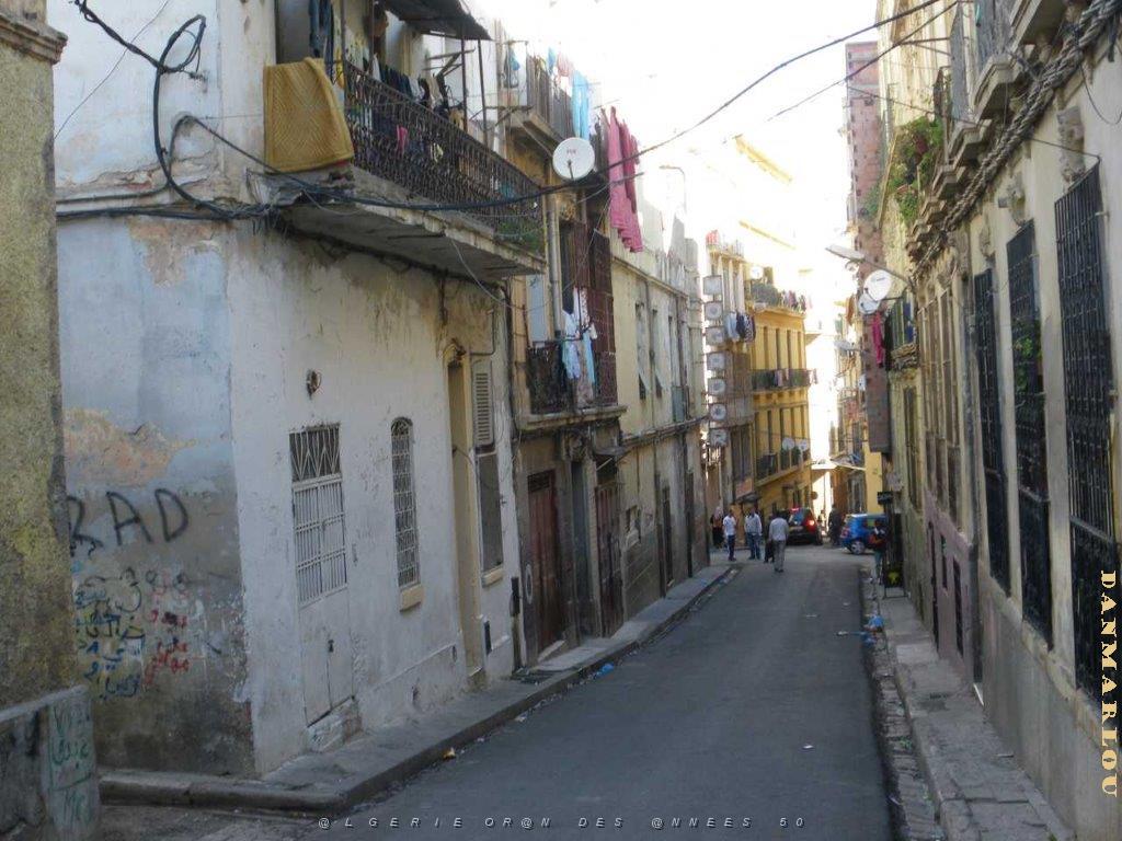 IMGP0485.jpg