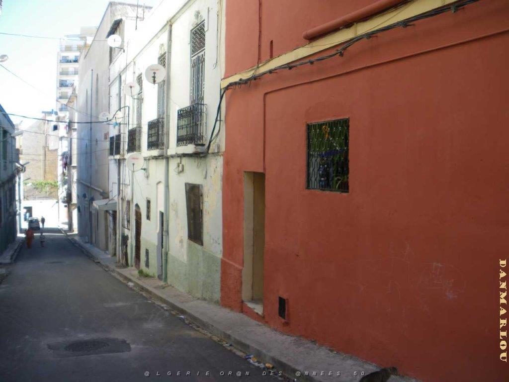 IMGP0492.jpg