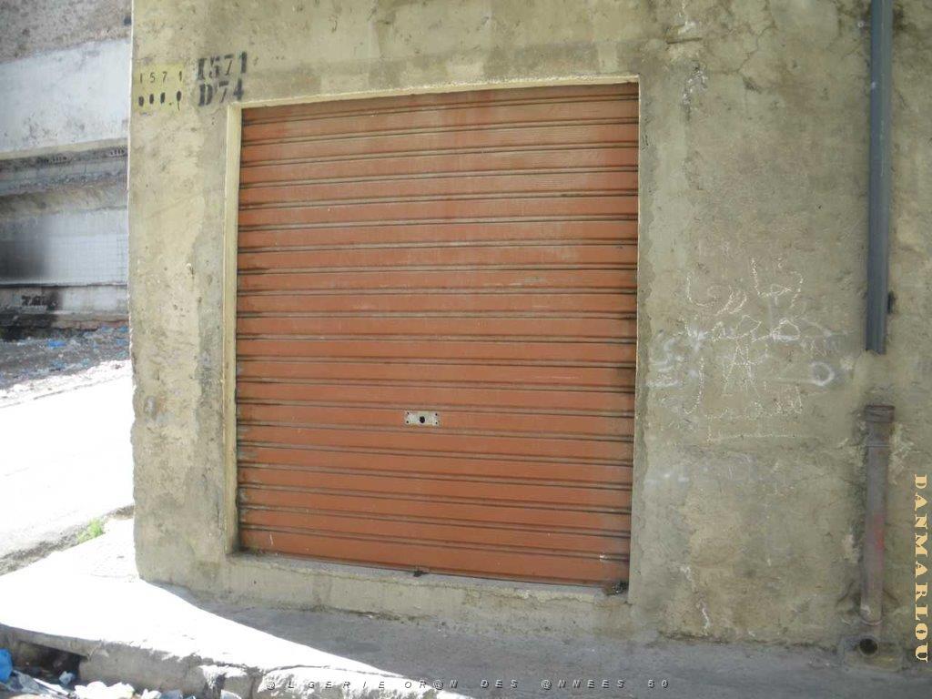 IMGP0495.jpg