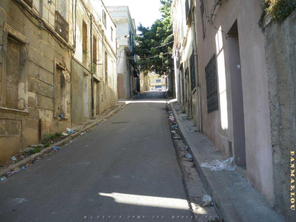 IMGP0500.jpg