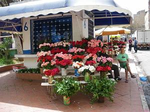 IMGP0269