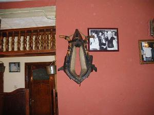 IMGP0449
