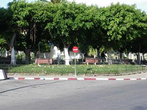 IMGP0454