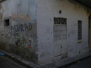 IMGP0483