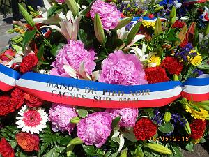 IMGP6024