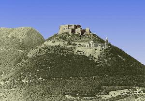 ORAN-02321