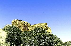 ORAN-02400