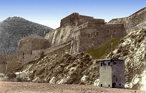 ORAN-02427