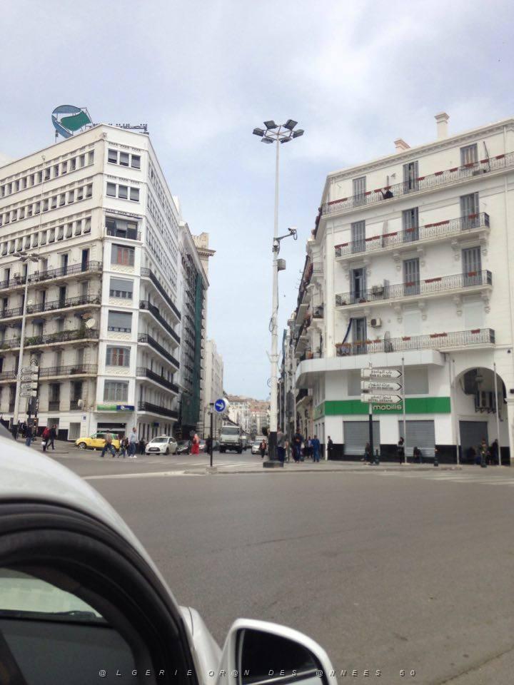 Alger2.jpg