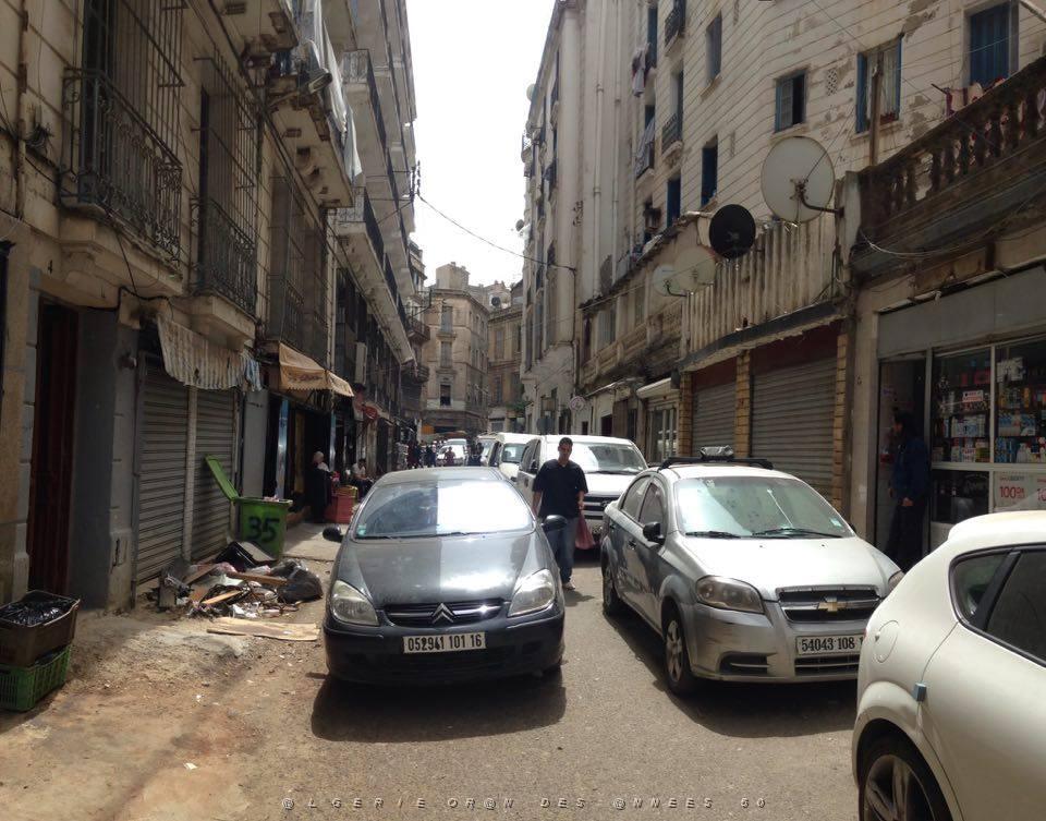Alger4.jpg