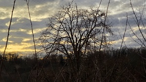20250112_171545