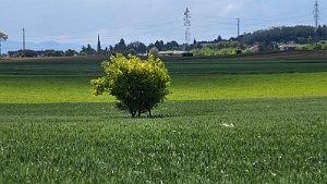 20250512_152420