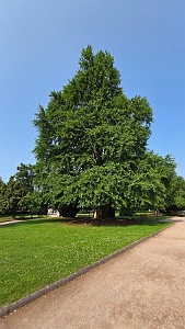20250609_101311