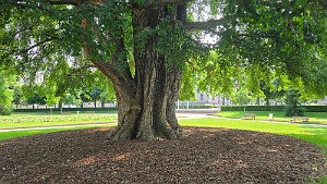 20250609_101449