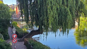 20250629_080748