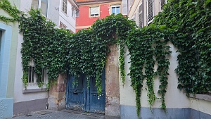 20250629_081158